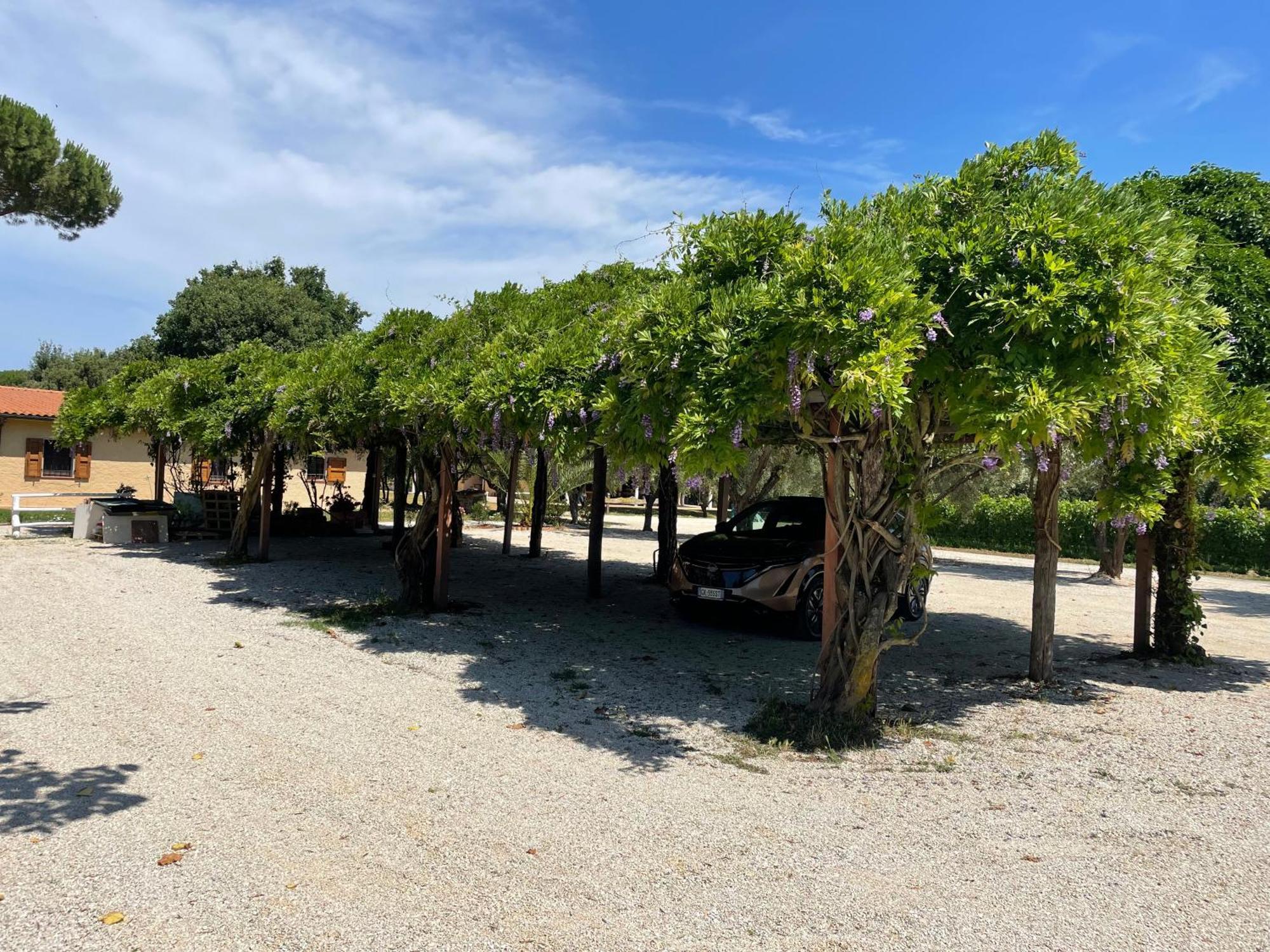 Agriturismo La Valle - By Podere Arundineto Castagneto Carducci Exteriér fotografie